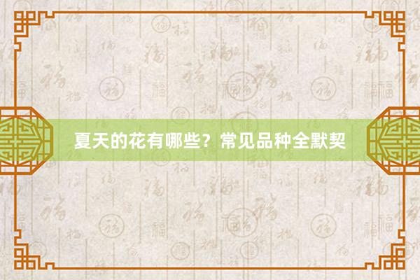 夏天的花有哪些?常见品种全默契